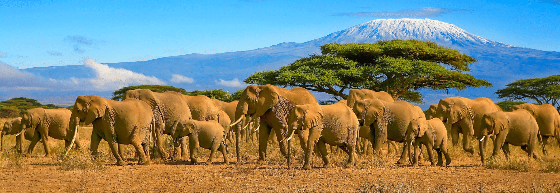 Tanzanie