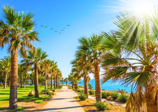 Chypre