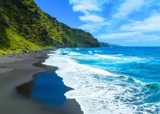Les Canaries